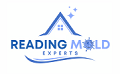 Mold Remediation Reading Solutions